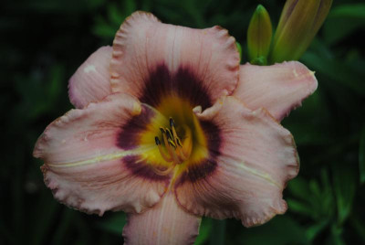 juni 081.jpg