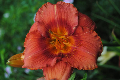 juni 093.jpg
