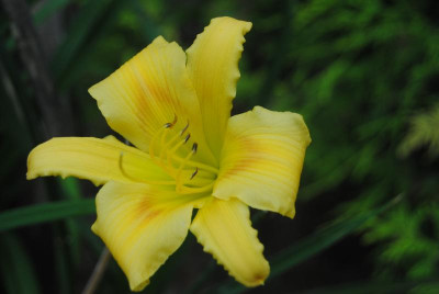 juni 099.jpg