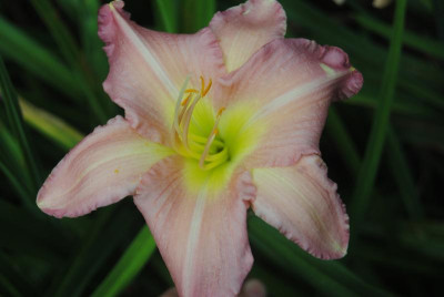 juni 090.jpg
