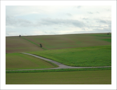 Feldansichten_1_06-10-2006.jpg