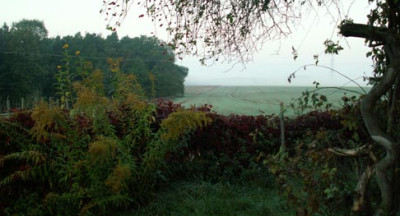 10-10-20006.jpg