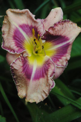juni 039.jpg