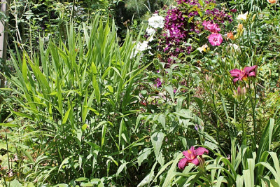 Beet Terrasse1.JPG