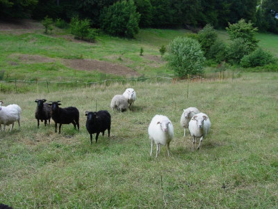 sommerkreuzweg16.JPG