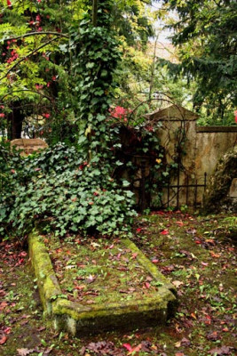 Friedhof-8.jpg