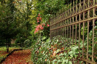 Friedhof-25.jpg