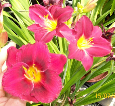 100_4748.JPG