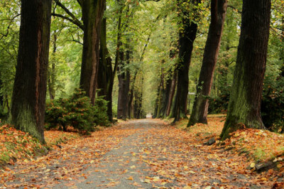Friedhof-29.jpg