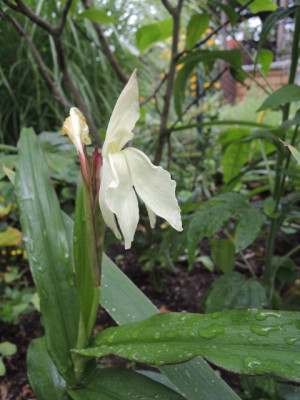DSCN1071_1671.JPG