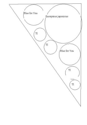 plan 1.jpg