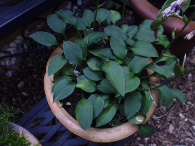 P1020147.JPG