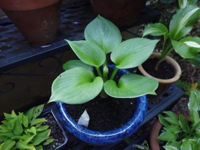 P1020145.JPG