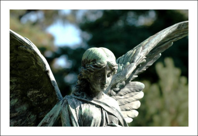 Friedhof_Hannover_1_24-09-2006.jpg