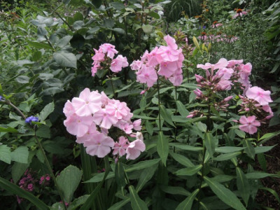DSCN1101_1679.JPG