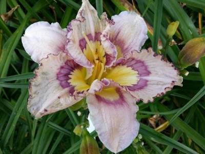 20160716_092949.jpg