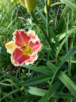 20160716_093334.jpg