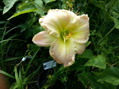 20160716_101432.jpg
