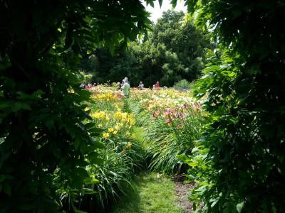 20160716_153448.jpg