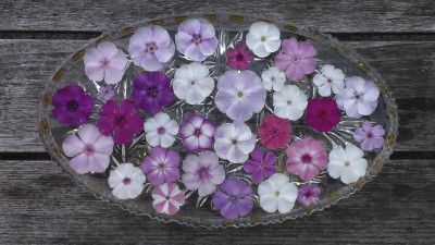 IMAG0987.jpg