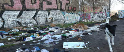 n-BERLIN-large570.jpg