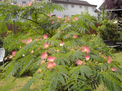 PICT1402.JPG