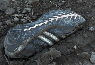 fossil.jpg