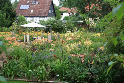 hemgarten16_ueberblick.jpg