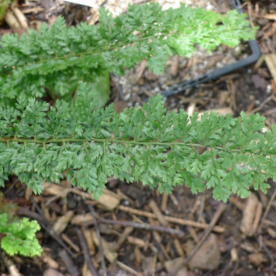 L1010690.JPG