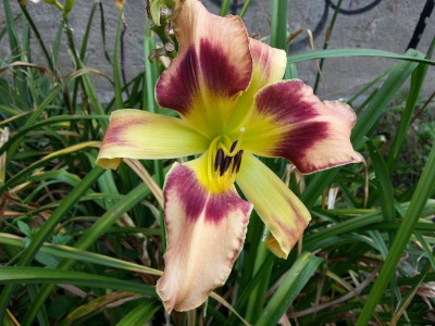20160722_094116.jpg