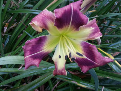 20160722_071649.jpg