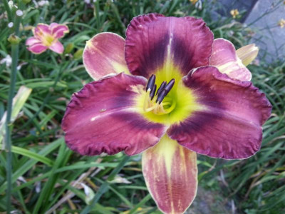 20160720_065401.jpg