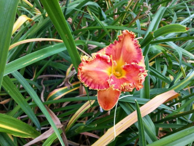 20160722_093935.jpg