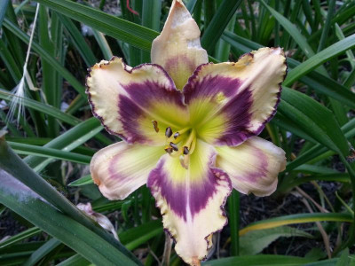 20160720_082153.jpg