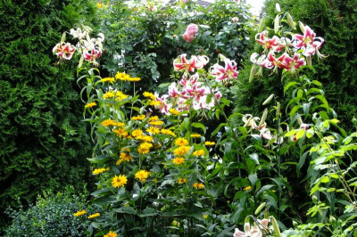 2016_07233april20160029.JPG