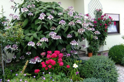 2016_07233april20160051.JPG