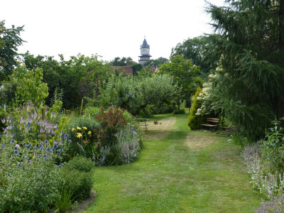 2016-07-23 Garteneinblick 4.jpg