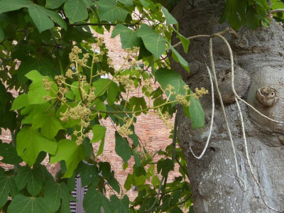 P1050798.JPG