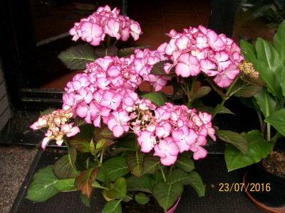 100_4780.JPG