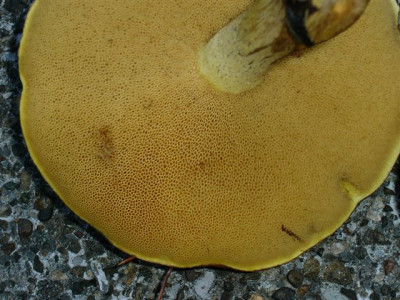 P1040564.JPG