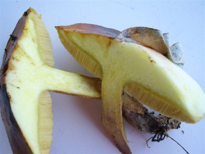 P1040568.JPG
