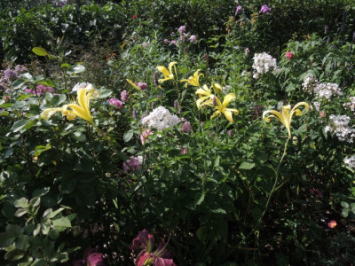 DSCN1130_1687.JPG