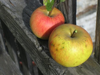IMG_5648apfel.jpg
