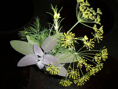 P1040576.JPG