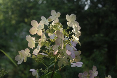 20160724_55.JPG