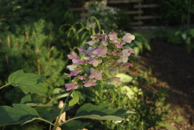 20160724_42.JPG