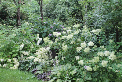 Hortensiegarten.JPG