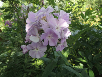 DSCN1107_1689.JPG