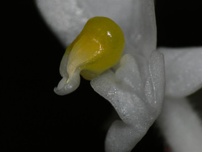 P1020472_Large.JPG
