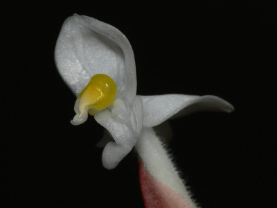 P1020471_Large.JPG